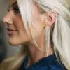 Two Tone Fringe Earrings- Silver Mix