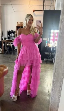 Taylor Mesh Dress-Pink -thesethreeboutique Sales Shop IMG 1050